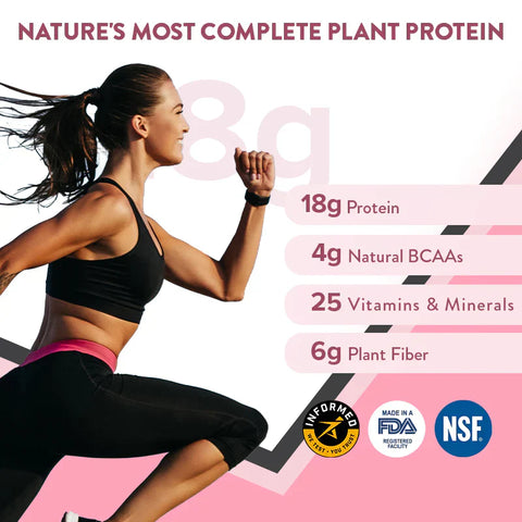 Wellbeing Nutrition Organic Vegan Plant Protein Powder Superfoods Fiber For Muscle Growth & Recovery 500Gm Peanut Butter