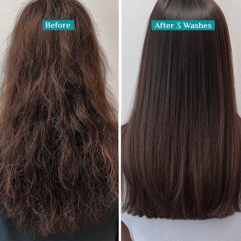 Pilgrim Korean Rice Water & Collagen Advanced Damage Repair Shampoo (400Ml)