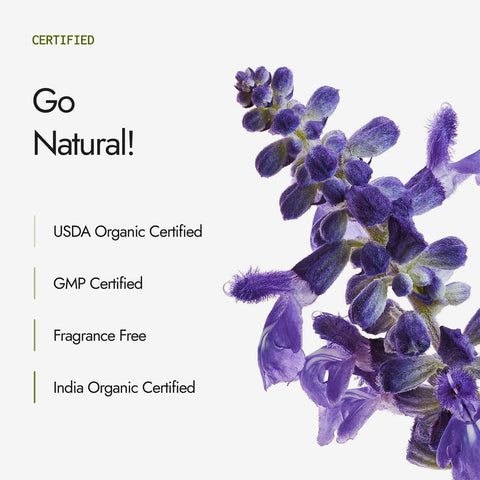 Kapiva Hair Rituals Organic Indigo Powder 100g