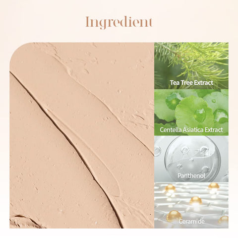 Dasique Pro Concealer Palette #01 Cover