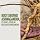 Kapiva Moringa + Ashwagandha Gold - 60 (Combo) - Image 5