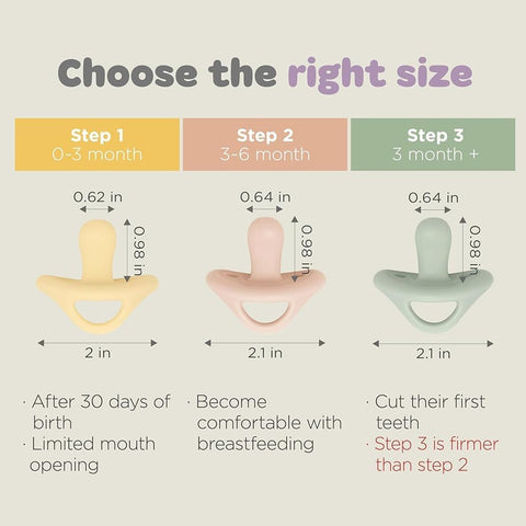 Moyuum All-Silicone Macaron Pacifier with Protective Stage 3 (6 months and older) Case Sage