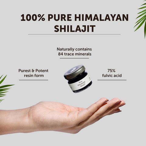 Neuherbs Pure Himalayan Shilajit 20g
