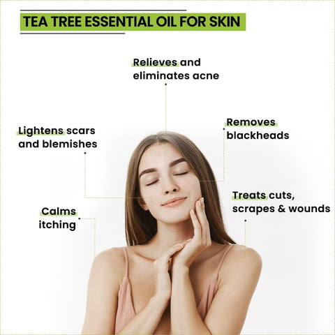 Rey Naturals Lavender oil + Tea Tree oil + rosemary essential oils Combo (15 ml+15 ml + 15 ml)