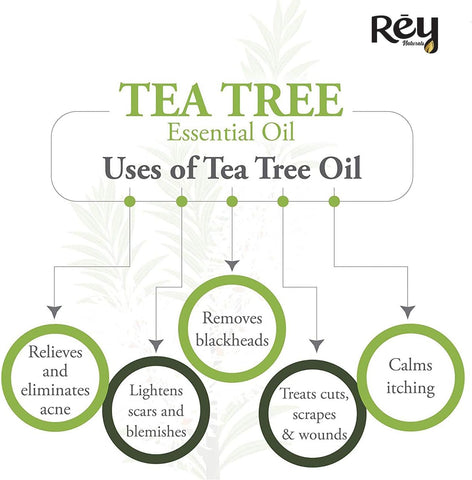 Rey Naturals Tea Tree Oil & Rosemary Oil For Hair Growth & Dandruff Control 15ML*2 (Combo)