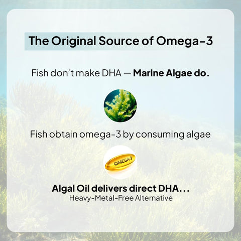 Miduty Veg Omega-3 500mg - 30 Capsules