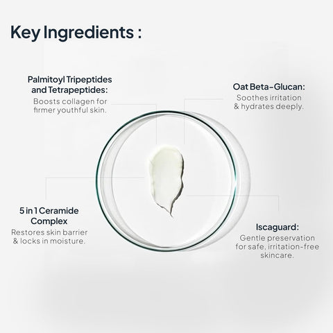 Miduty EpiRepair Night Cream - Peptide & Ceramide Skin Barrier Repair - 50g