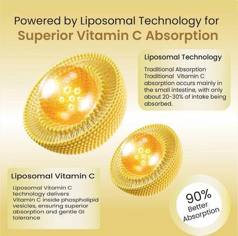 Himalayan Organics Natural Liposomal 1000 MG Vitamin C Supplements Tablets - 120