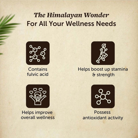 Neuherbs Pure Himalayan Shilajit 20g