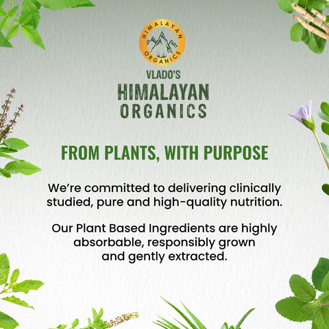 Himalayan Organics Milk Thistle 120 Caps