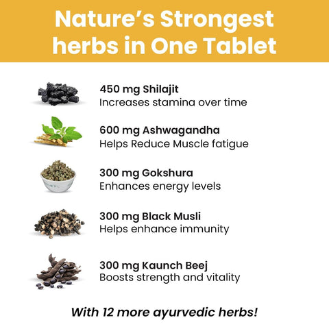 Himalayan Organics Testosterone Booster 2800 +mg 90 Tabs