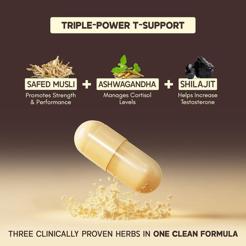 Rasayanam T-Charge Capsules (500mg) 60 Capsules