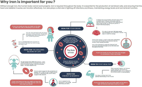 Vital Healthcare Ferroaid Liquid 200Ml