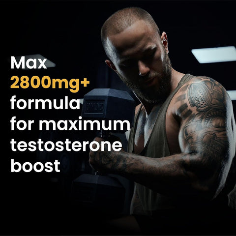 Himalayan Organics Testosterone Booster 2800 +mg 90 Tabs