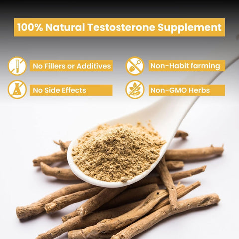 Himalayan Organics Testosterone Booster 2800 +mg 90 Tabs