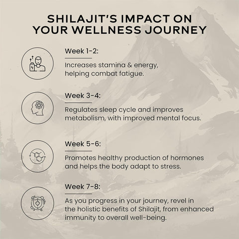 Wellbeing Nutrition Pure Himalayan Shilajit Gold Resin With Ashwagandha, Safed Museli & Swarna Bhasma Pack Of 2