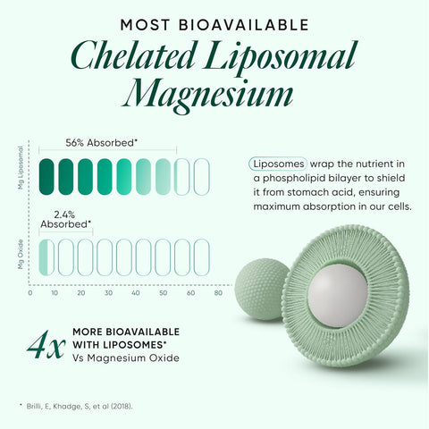 Wellbeing Nutrition Ultra Strength Magnesium+ 60 Capsules in a bottle