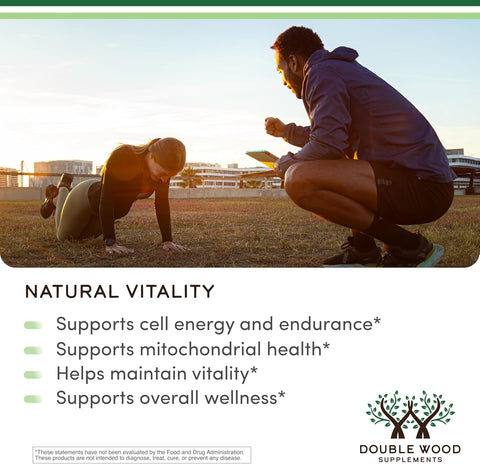 DoubleWood Supplements Shilajit Resin Capsules 120