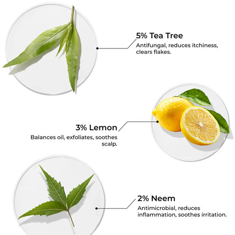 Brillaire Tea Tree Oil 100 Ml