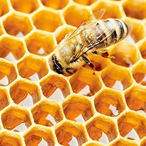 Dr.Ceuracle Vita Propolis Antioxidant Mask 30Ml