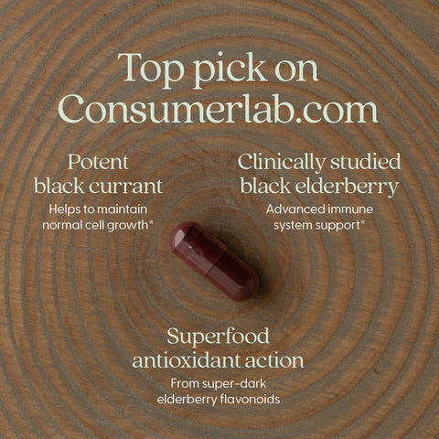 NEW CHAPTER Elderberry Force, 30 Vegan Capsules