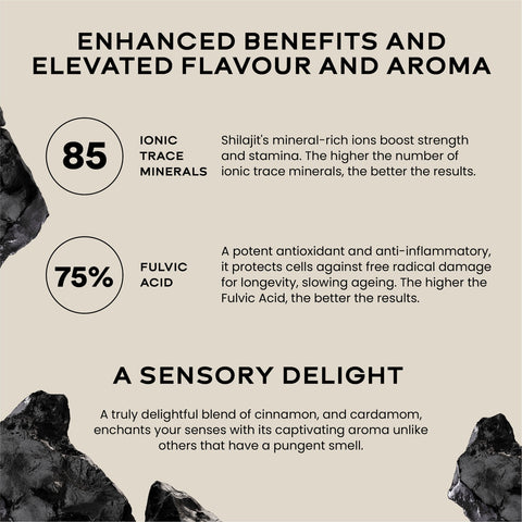 Wellbeing Nutrition Shilajit Gold 10gms