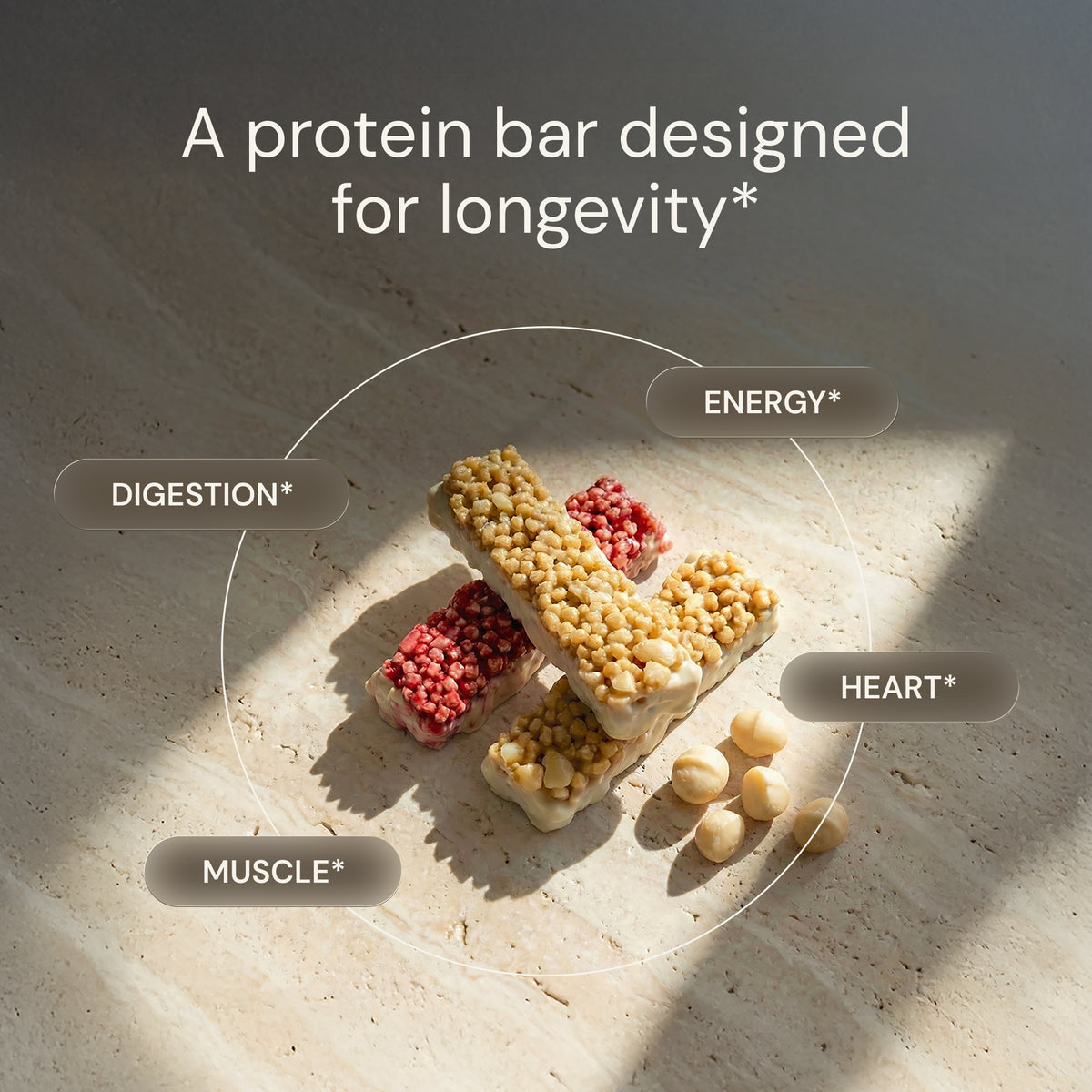 Blueprint Macadamia Protein Bar - Variety Pack - 9g Protein, No Added Sugar, 12 Bars