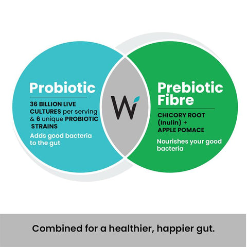 Wellbeing Nutrition 18 Billion CFU Probiotic + Prebiotic Effervescent Tablets - Green Apple & Mint