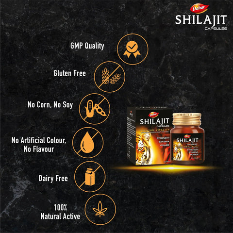 Ayuvigo and Dabur Shilajit Combo Supplement