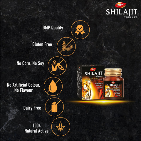 Dabur Shilajit Gold 30 Capsules