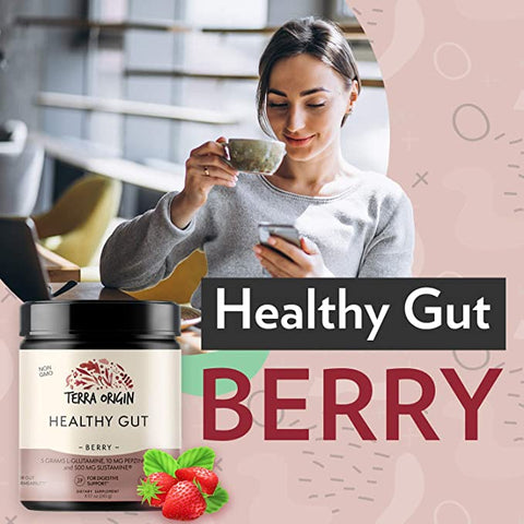 Terra Origin, Healthy Gut, Berry, 8.57 oz (243 g)