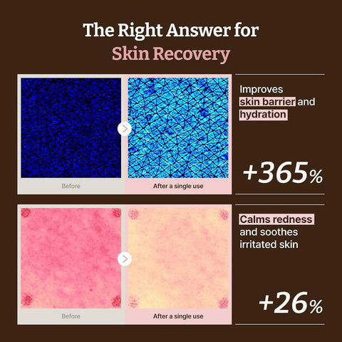Dr.Reju-All Advanced PDRN Rejuvenating Cream - 99% Salmon DNA, 1200ppm - 60ml