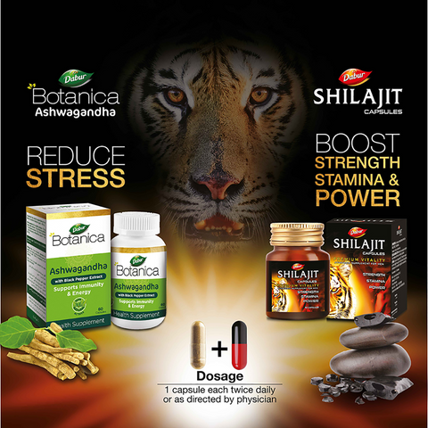 Dabur Energy & Stamina Booster Pack- Shilajit and Ashwagandha