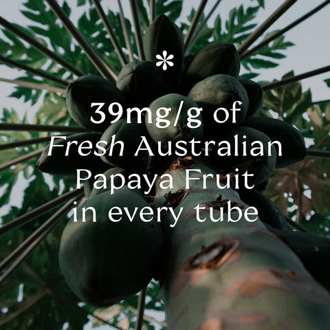 PURE PAW PAW Face Moisturiser - Original Australian Ointment, 15g