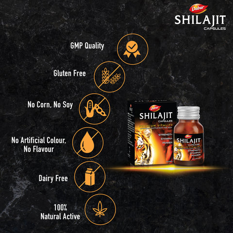 Dabur Shilajit Gold 30 Capsules